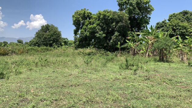LAND FOR A PROFESSIONAL SCHOOL