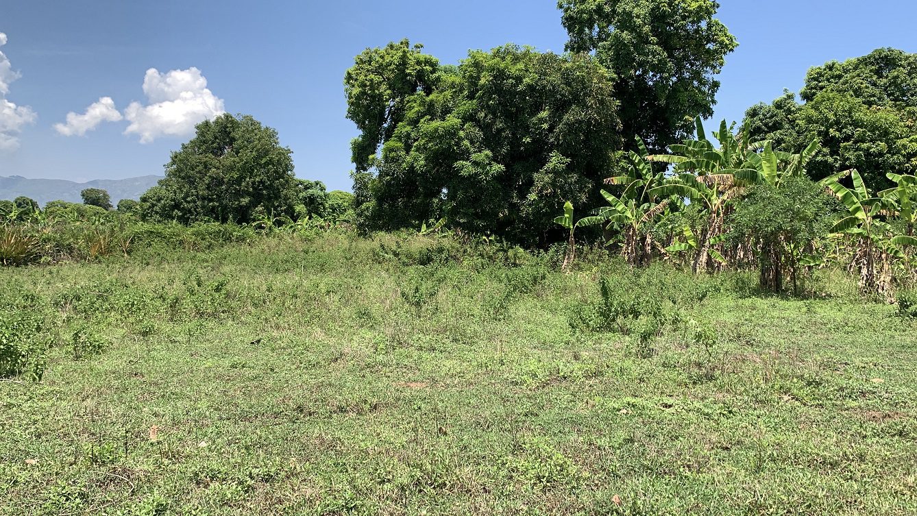LAND FOR A PROFESSIONAL SCHOOL